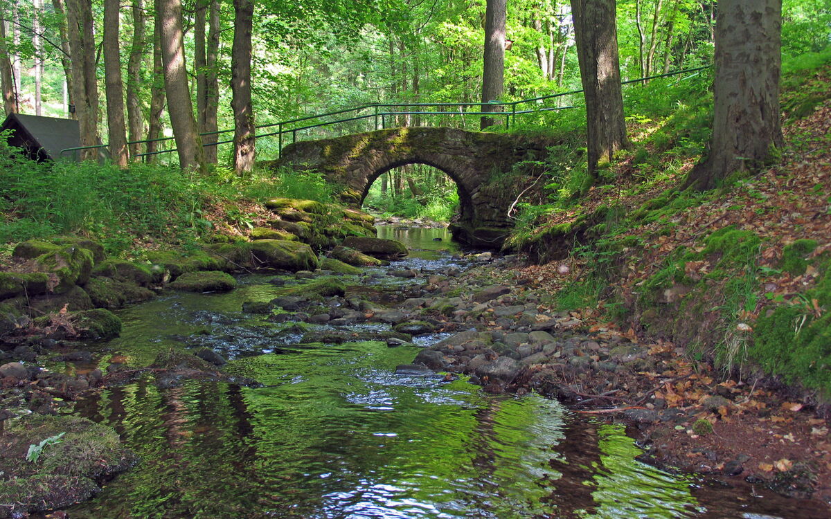 Historische Steinbrücke an einem Flüsschen im Wald