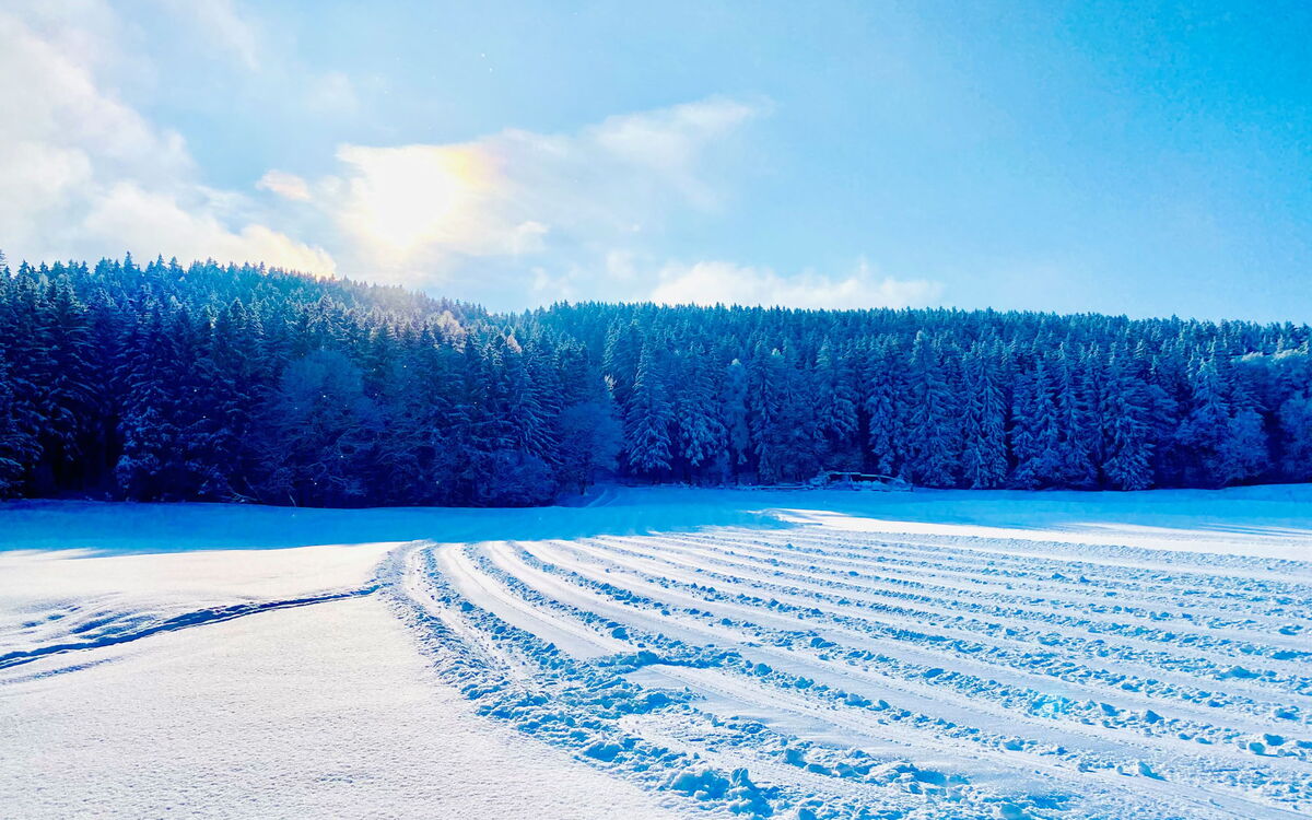 Winterlandschaft am Rodelhang Ochsenschau bei Friedrichroda