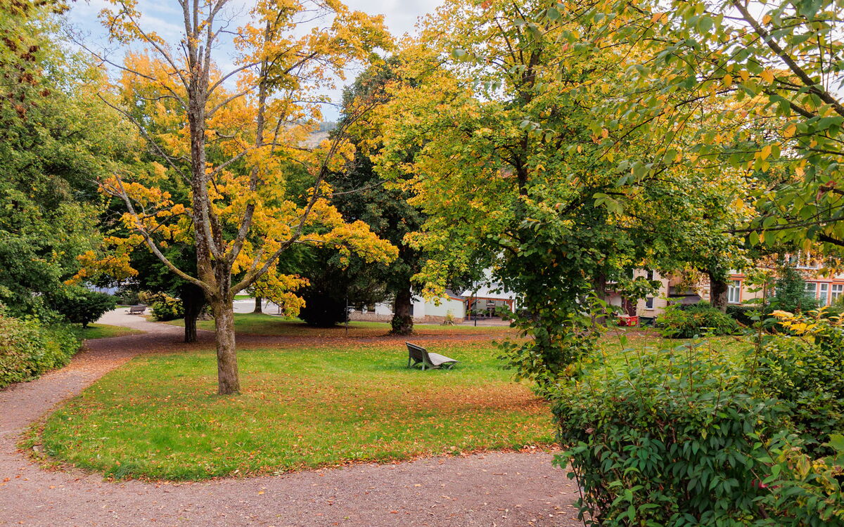 Park in Friedrichroda
