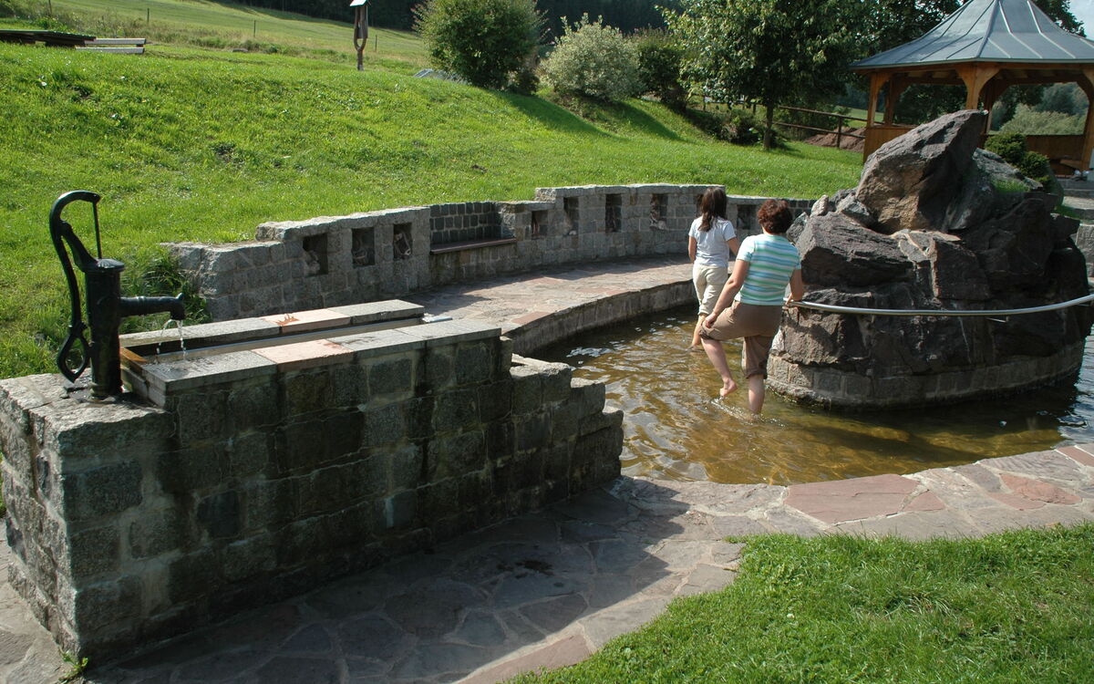 Tretbecken Ochsenschau