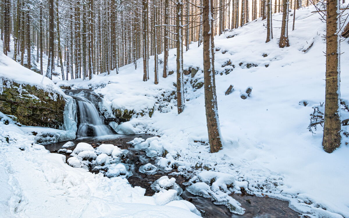 Wasserfall am Schilfwasser im Winter