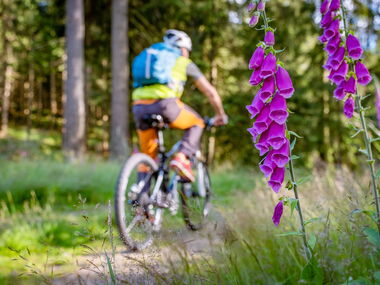 Per Mountainbike unterwegs im Thüringer Wald