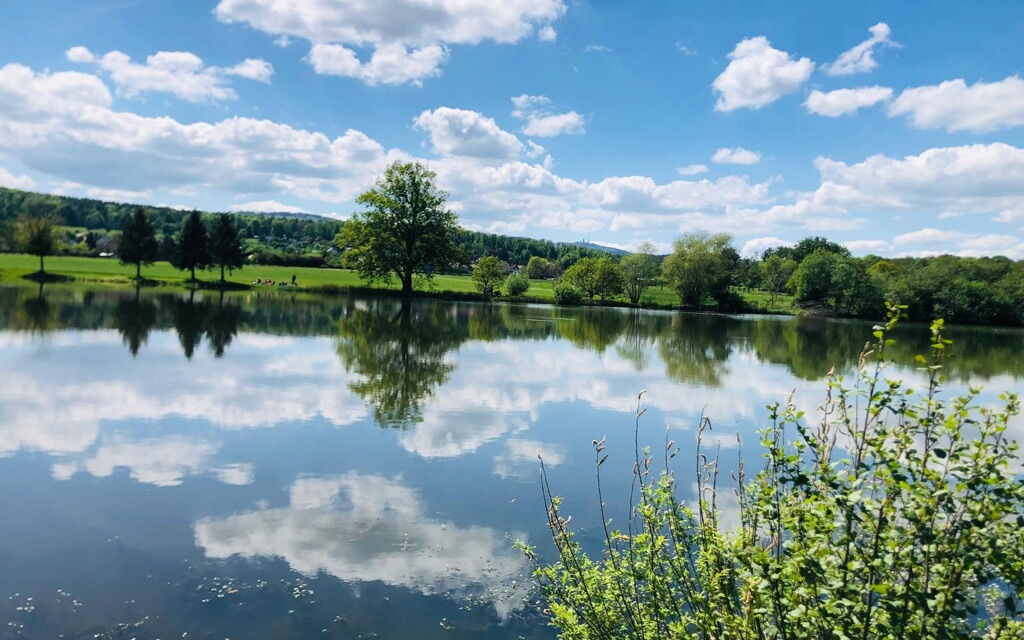 Wolken spiegeln sich im Wasser des Cumbacher Teichs